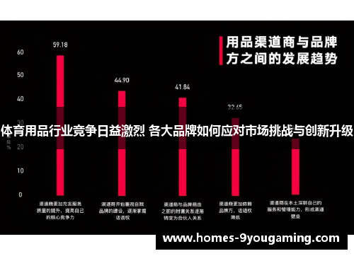 体育用品行业竞争日益激烈 各大品牌如何应对市场挑战与创新升级