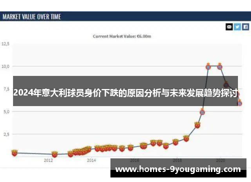 2024年意大利球员身价下跌的原因分析与未来发展趋势探讨