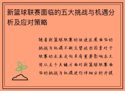 新篮球联赛面临的五大挑战与机遇分析及应对策略