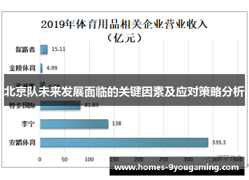 北京队未来发展面临的关键因素及应对策略分析
