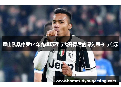 泰山队桑德罗14年光辉历程与离开背后的深刻思考与启示