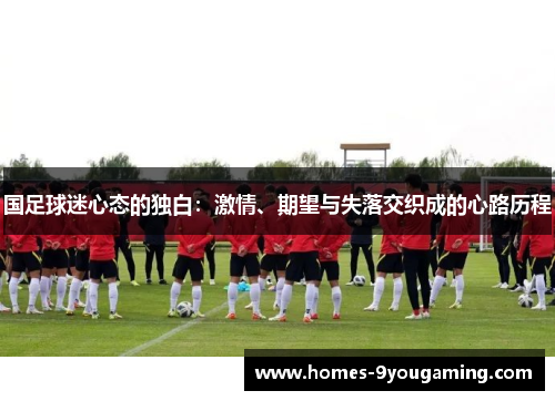 国足球迷心态的独白：激情、期望与失落交织成的心路历程