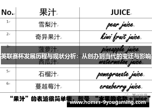 英联赛杯发展历程与现状分析：从创办到当代的变迁与影响