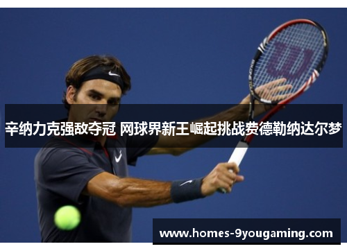 辛纳力克强敌夺冠 网球界新王崛起挑战费德勒纳达尔梦