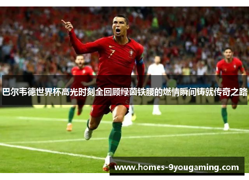 巴尔韦德世界杯高光时刻全回顾绿茵铁腰的燃情瞬间铸就传奇之路