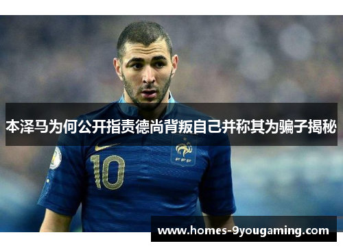 本泽马为何公开指责德尚背叛自己并称其为骗子揭秘