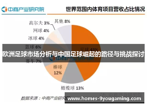 欧洲足球市场分析与中国足球崛起的路径与挑战探讨