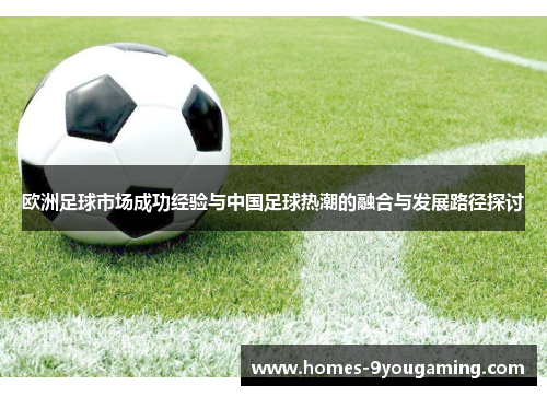 欧洲足球市场成功经验与中国足球热潮的融合与发展路径探讨